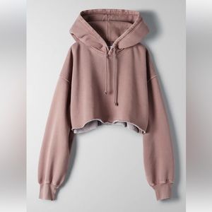 ARITZIA TNA Cropped Boyfriend Hoodie
